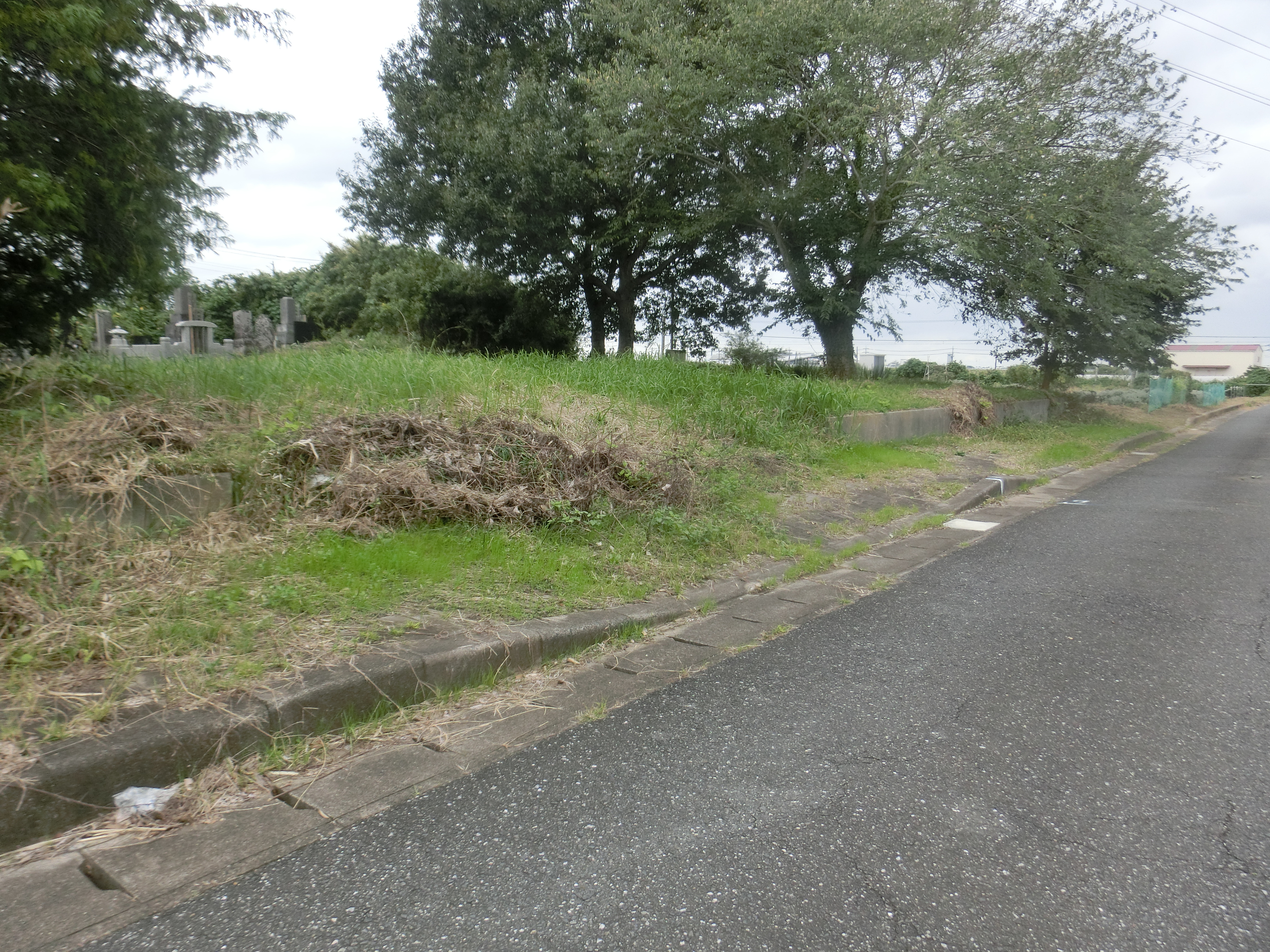 �����C���[�W