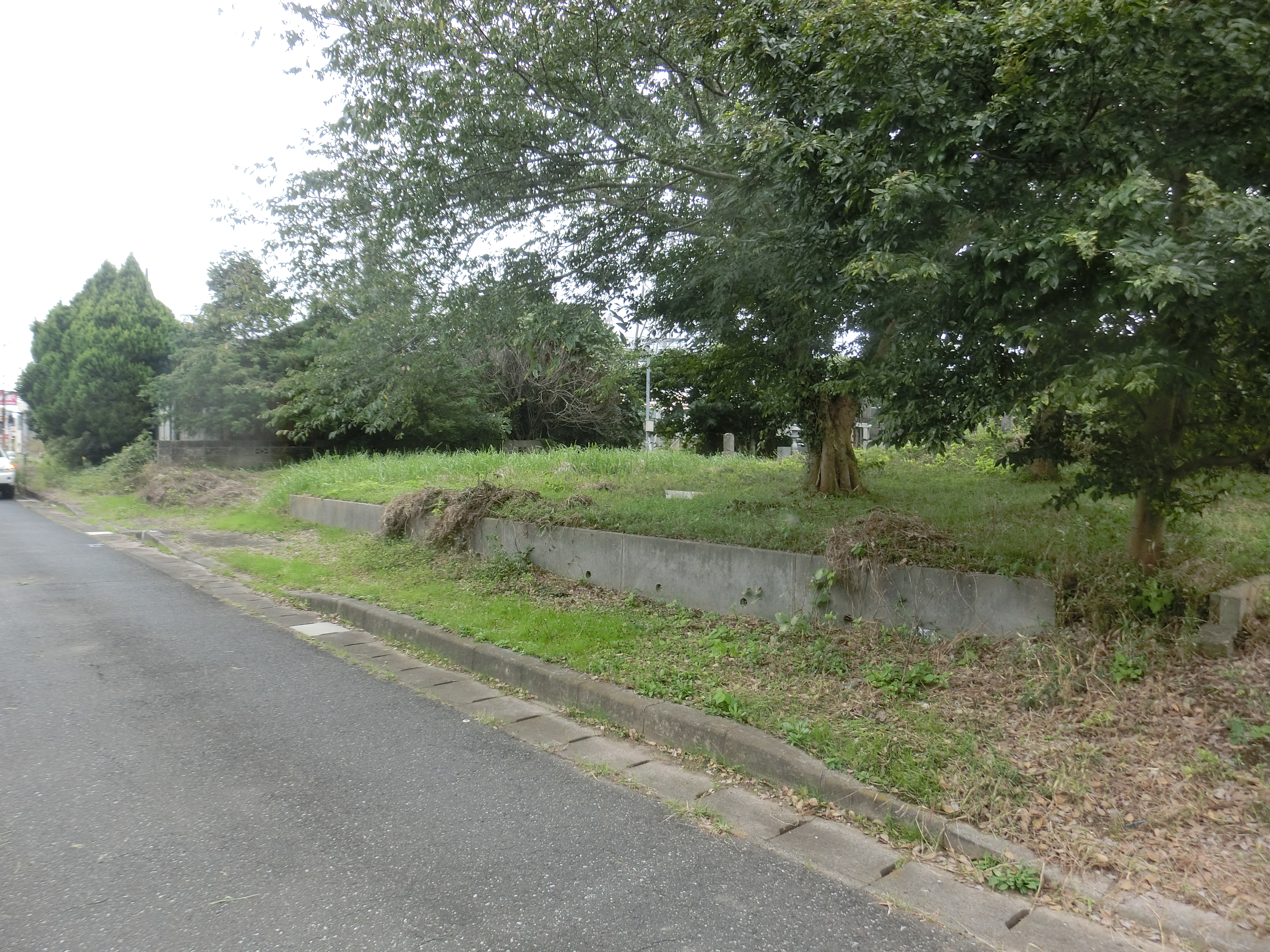 �����C���[�W